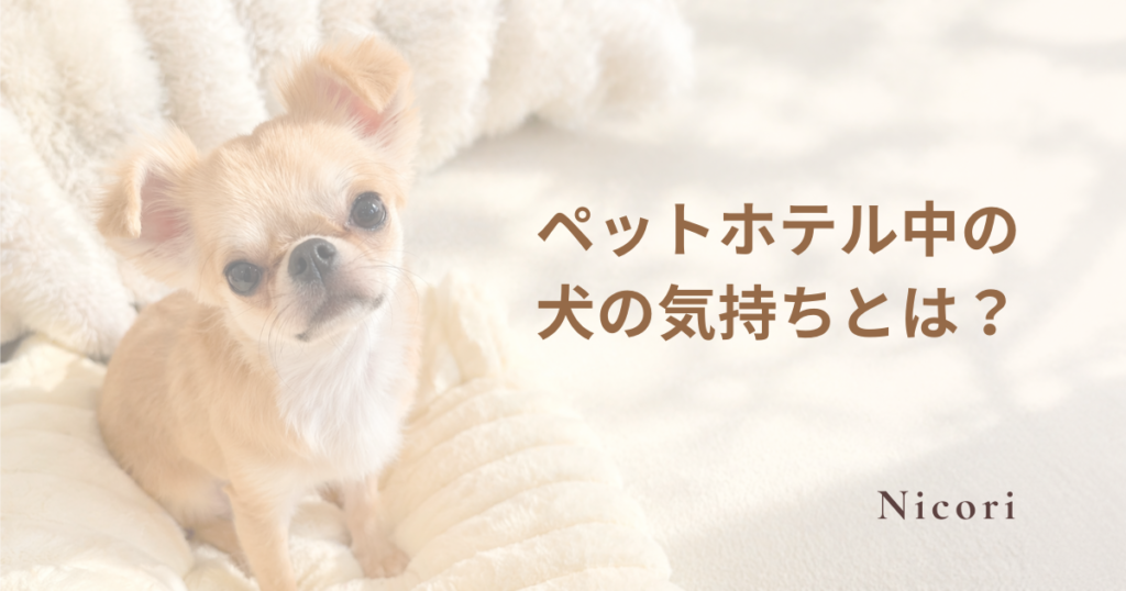 ペットホテル中の 犬の気持ちとは？