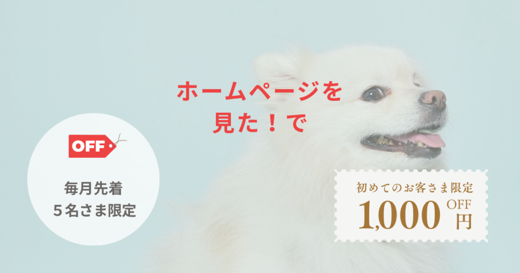 offer2