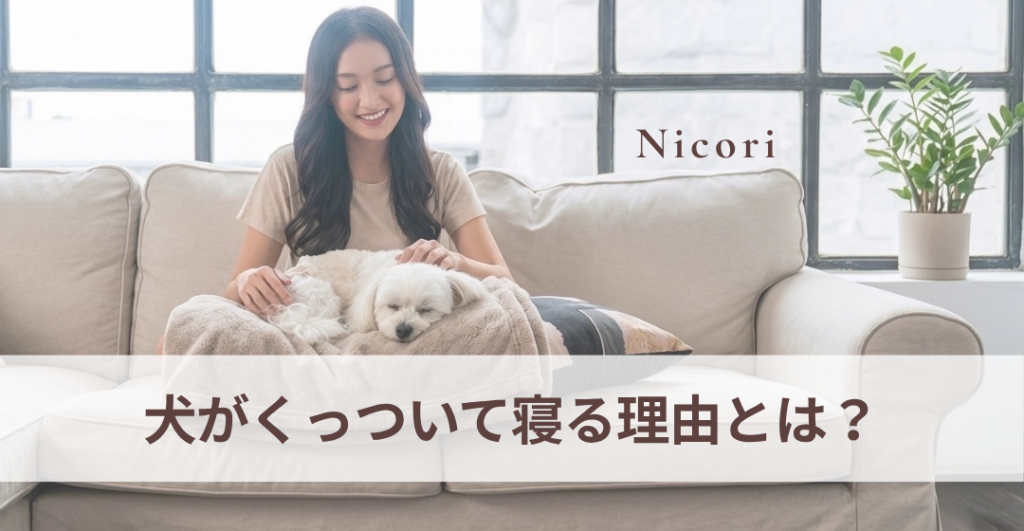 犬がくっついて寝る理由とは？