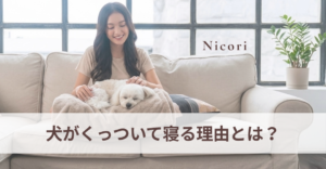 犬がくっついて寝る理由とは？