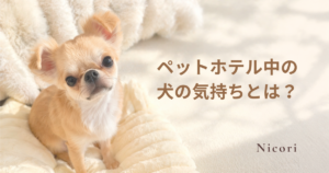 ペットホテル中の犬の気持ちとは？