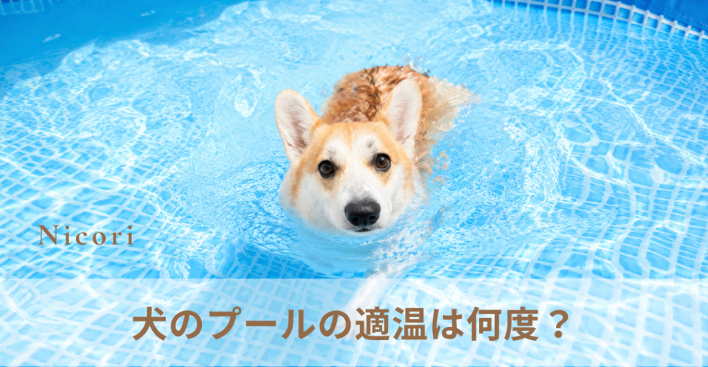 犬のプールの適温は何度？