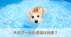 犬のプールの適温は何度？