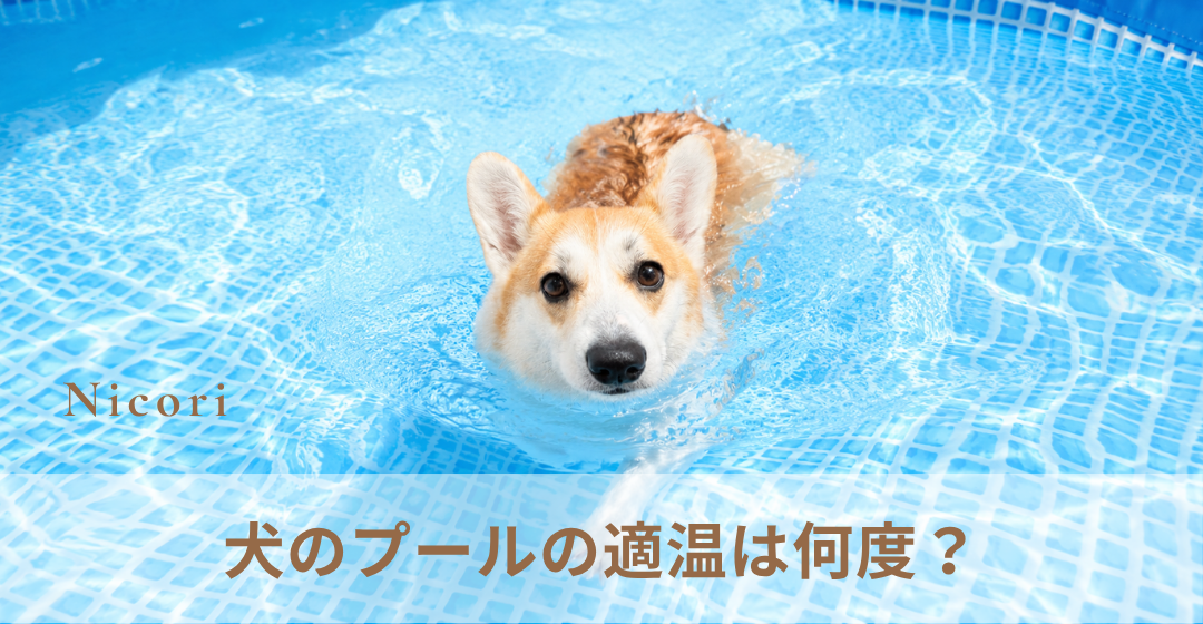 犬のプールの適温は何度？