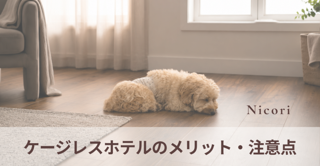 ケージレスホテルのメリット・注意点