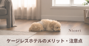 ケージレスホテルのメリット・注意点